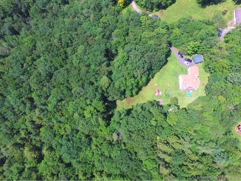 106a Pinney Street Photo 4