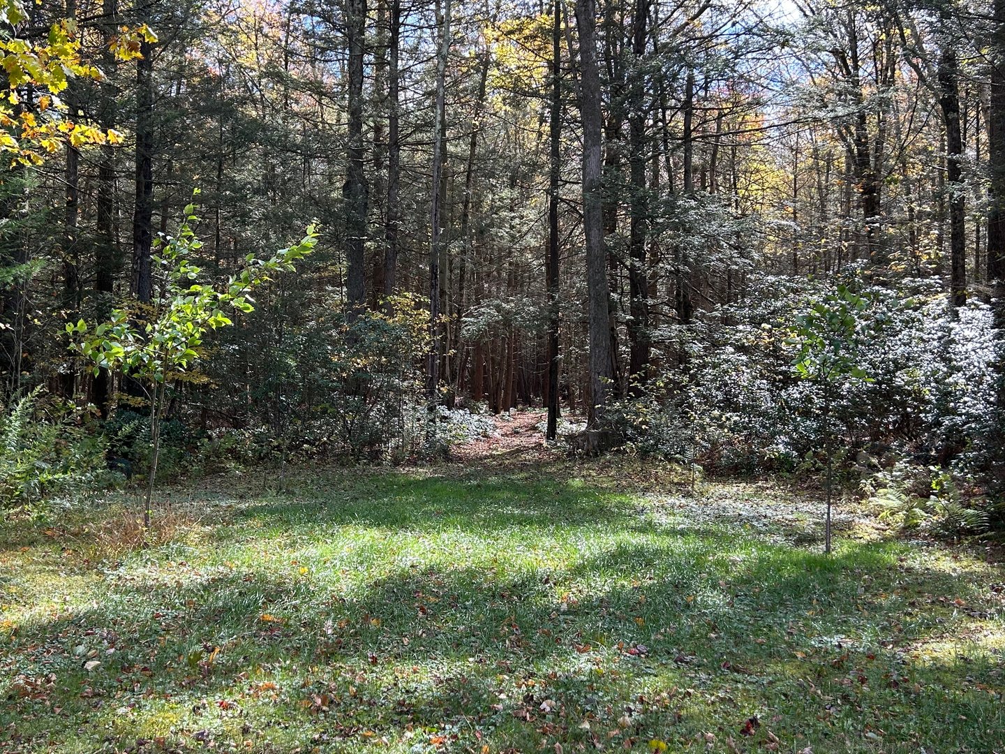 106a Pinney Street Photo 36