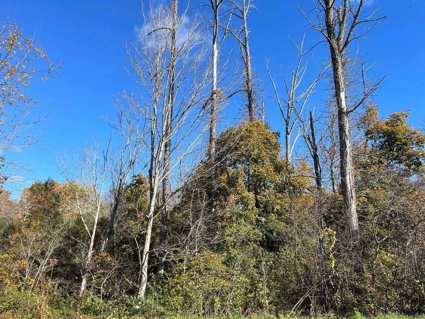 200 W. West Hill Rd Road Photo 1