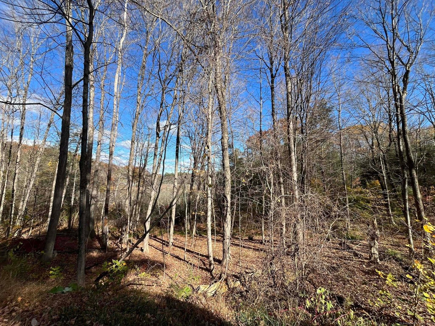 200 W. West Hill Rd Road Photo 8