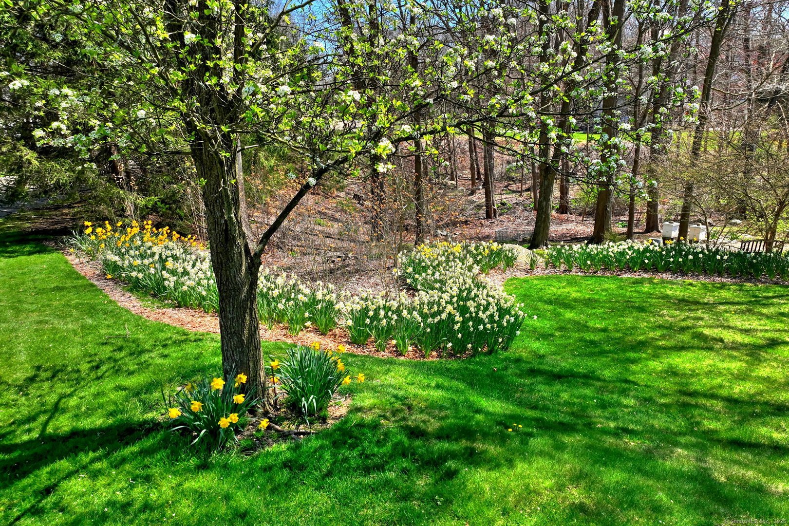 920 Green Circle Photo 4