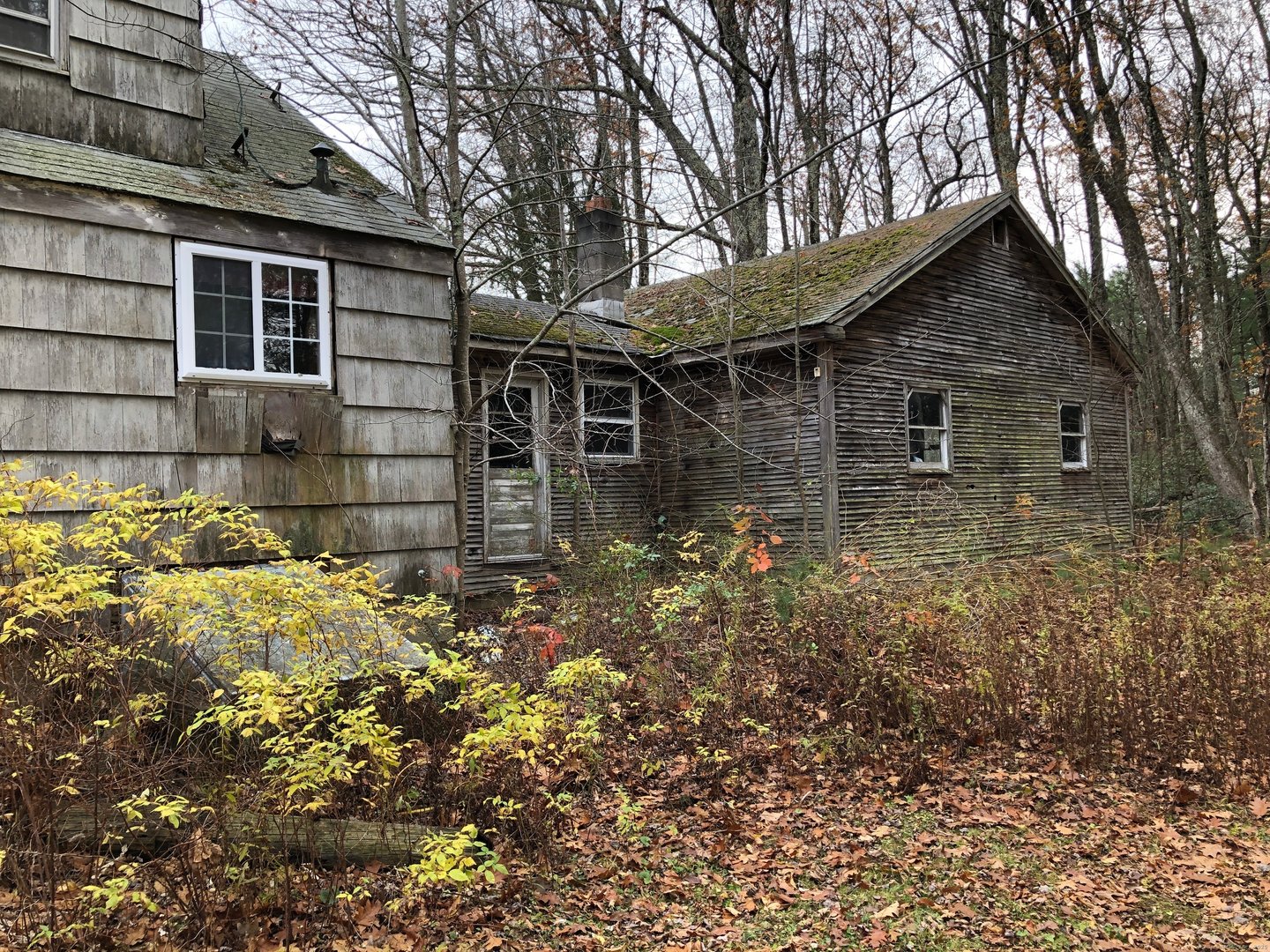 11 Shantry Road Photo 3