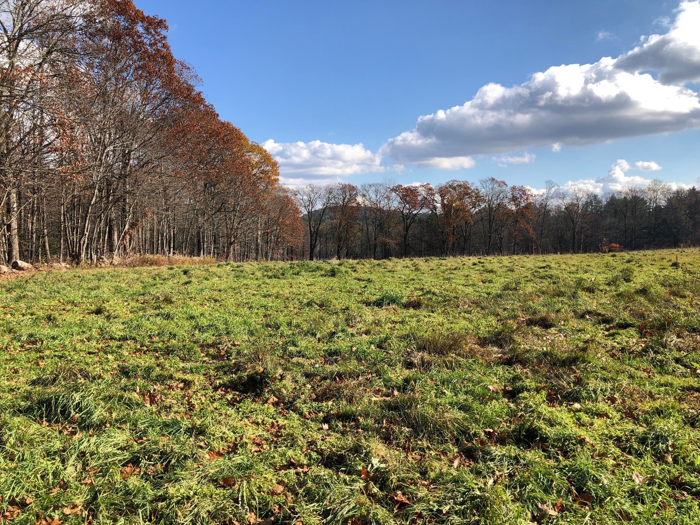 11 Shantry Road Photo 11