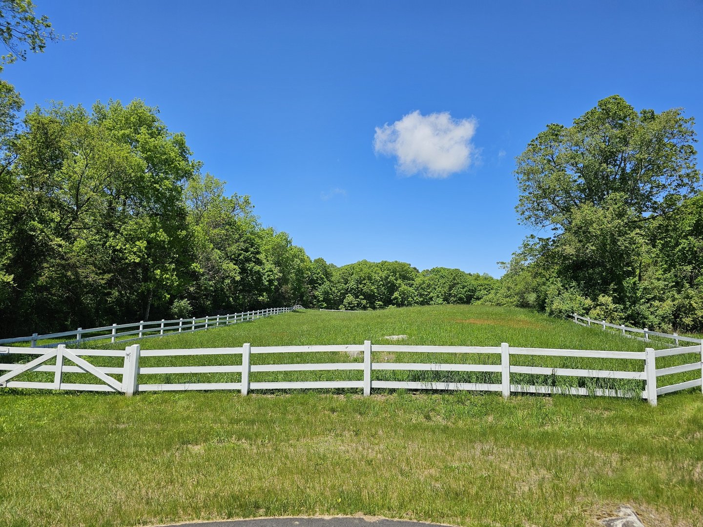 819 Main Street North Photo 2