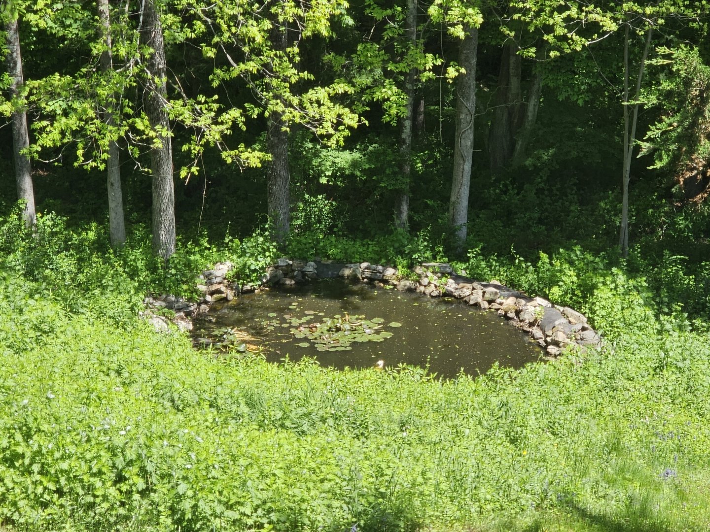 819 Main Street North Photo 4