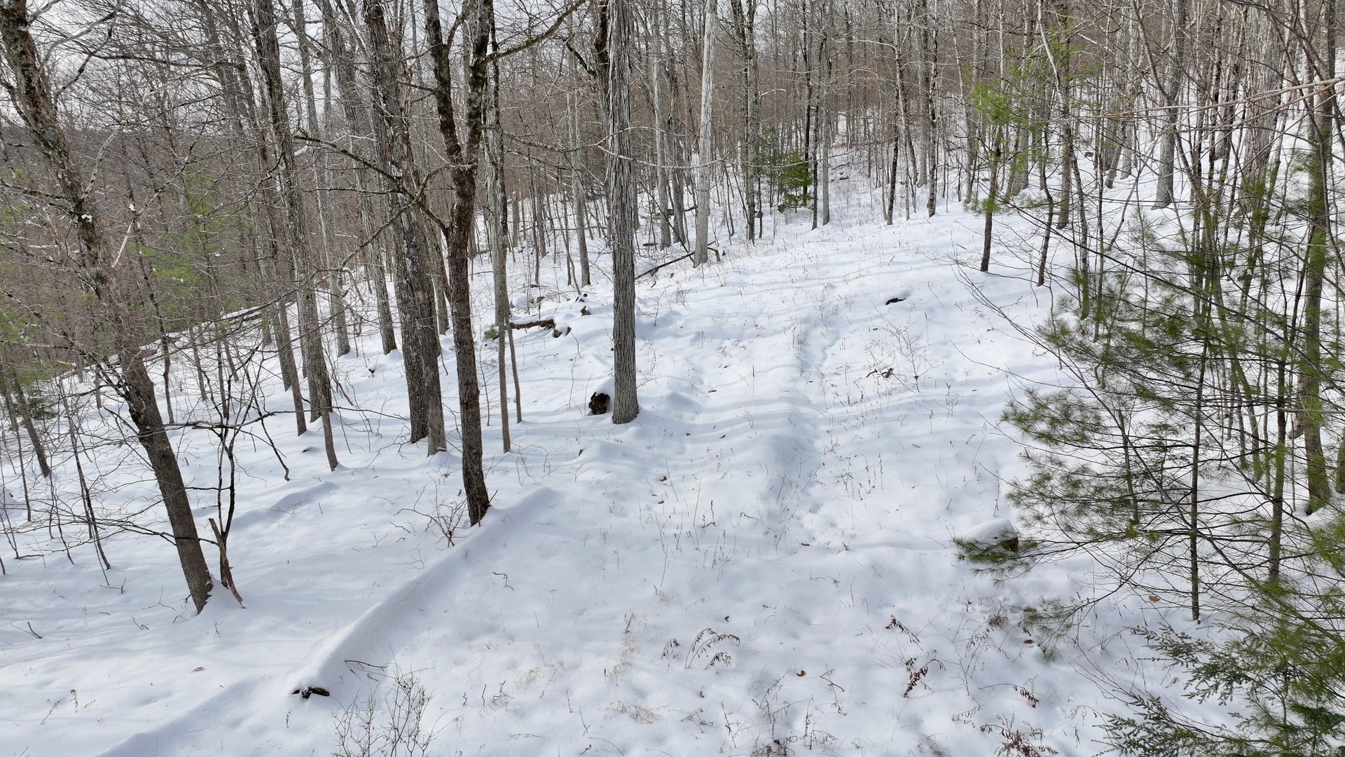 Prock Hill Road Photo 6