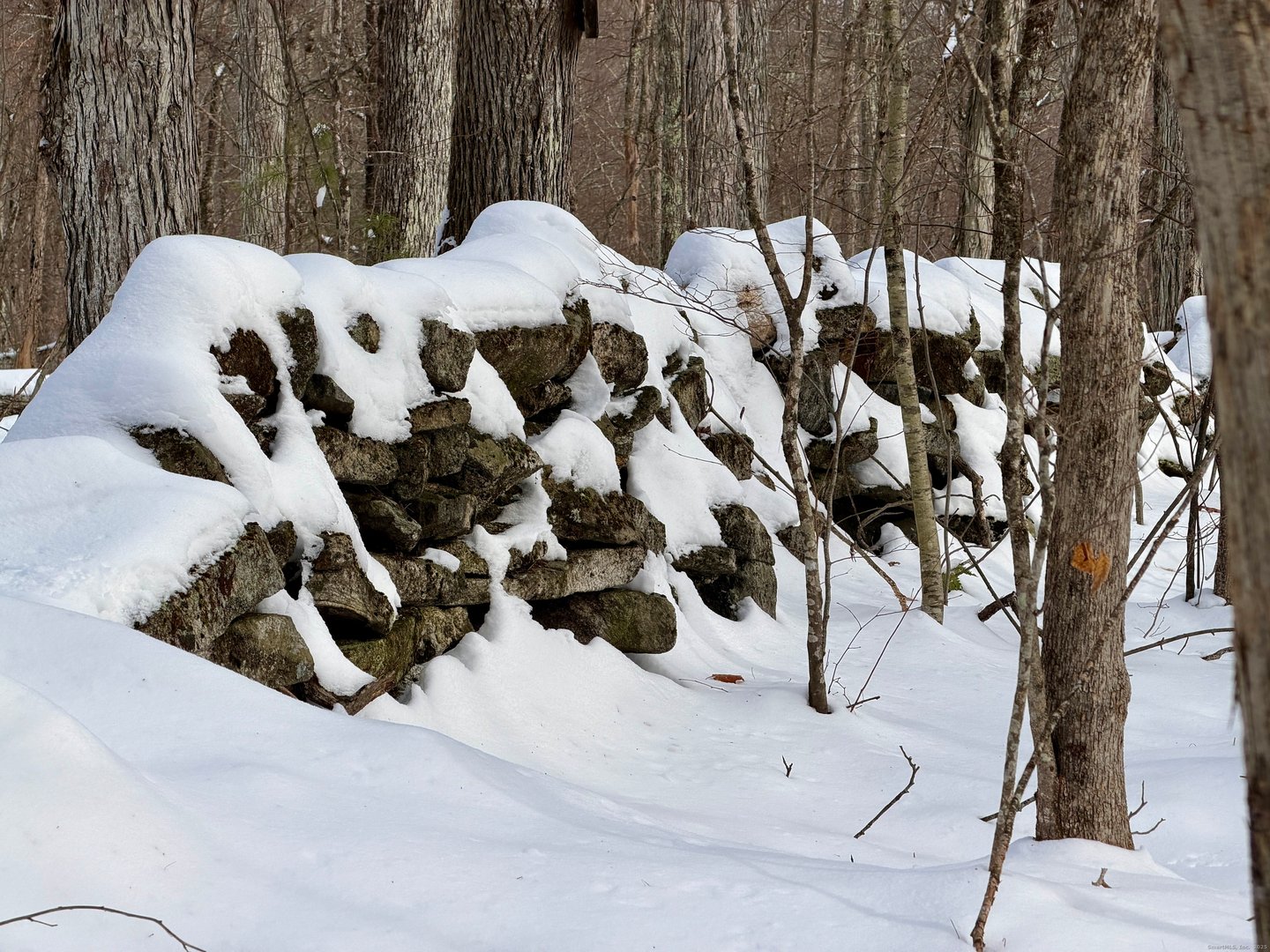 Prock Hill Road Photo 10