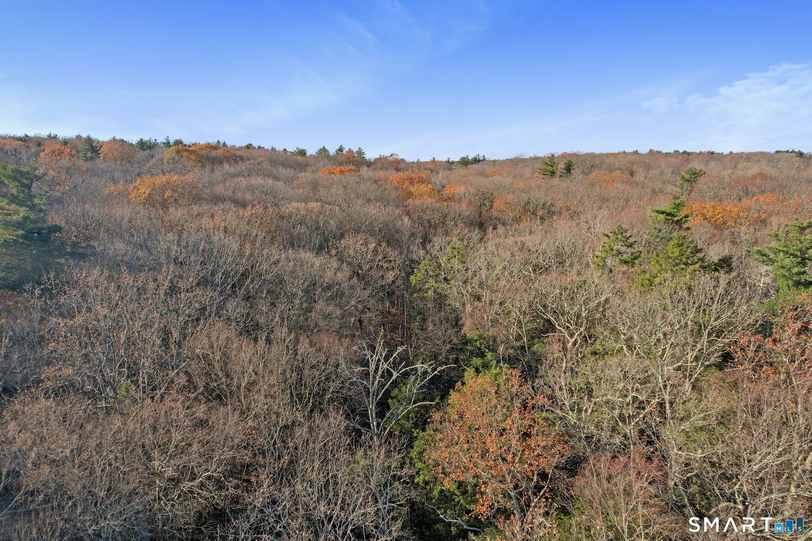 00 Hartland Boulevard Photo 6