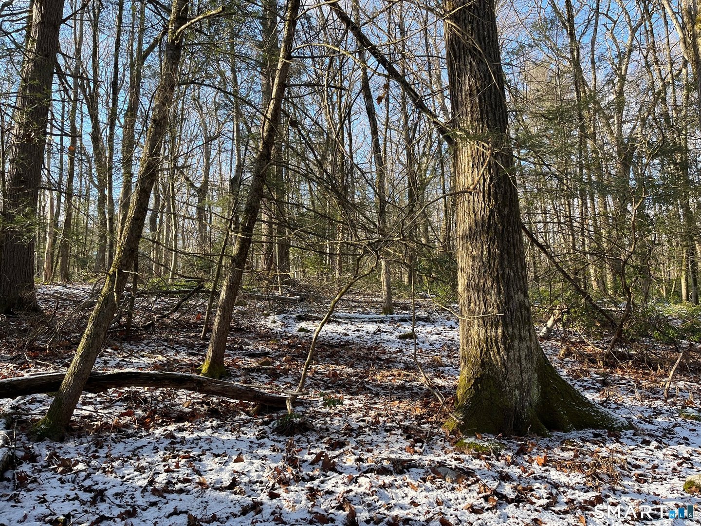 00 Hartland Boulevard Photo 9