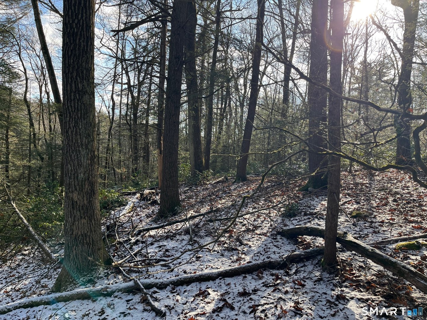 00 Hartland Boulevard Photo 10