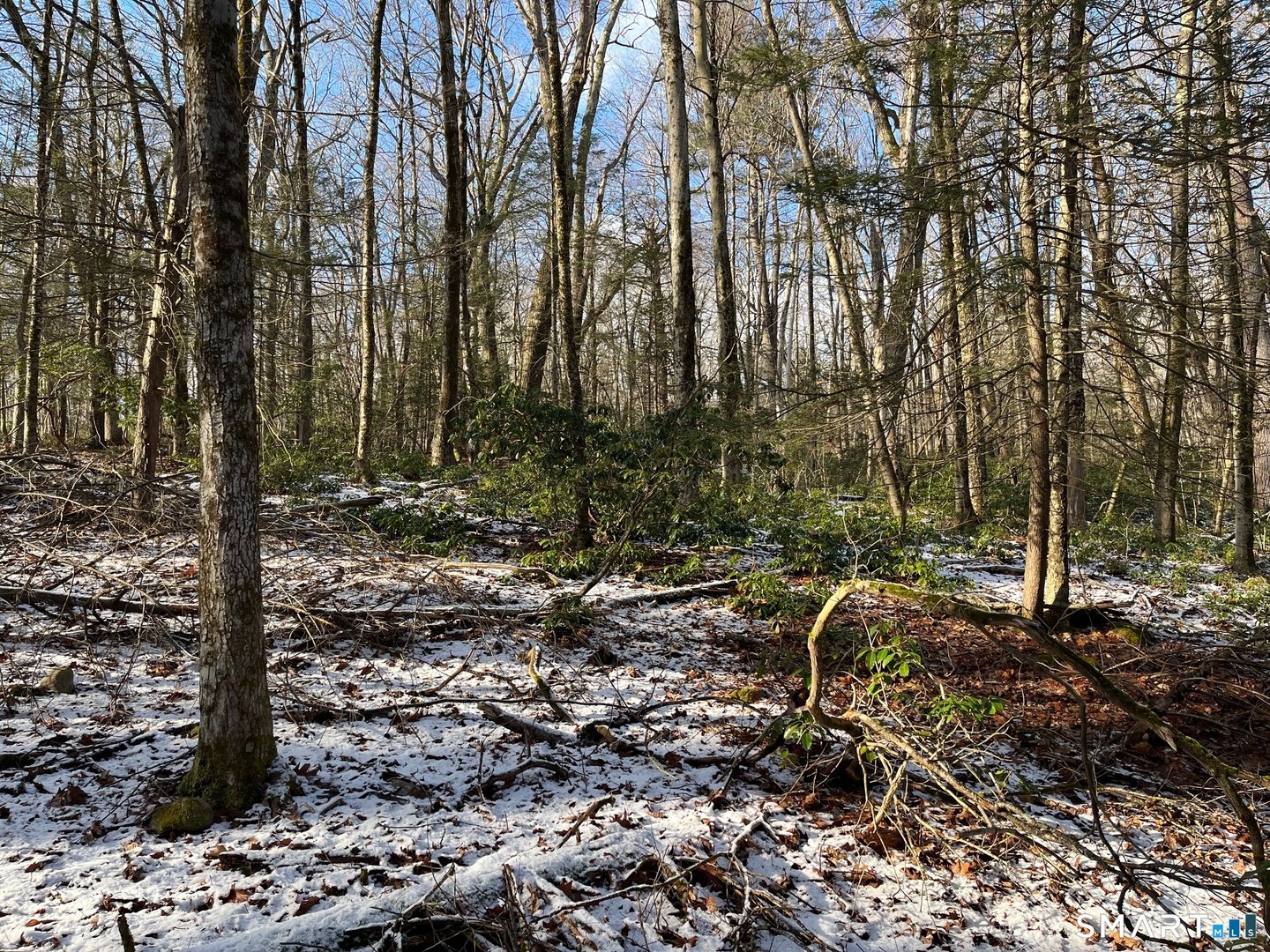 00 Hartland Boulevard Photo 11