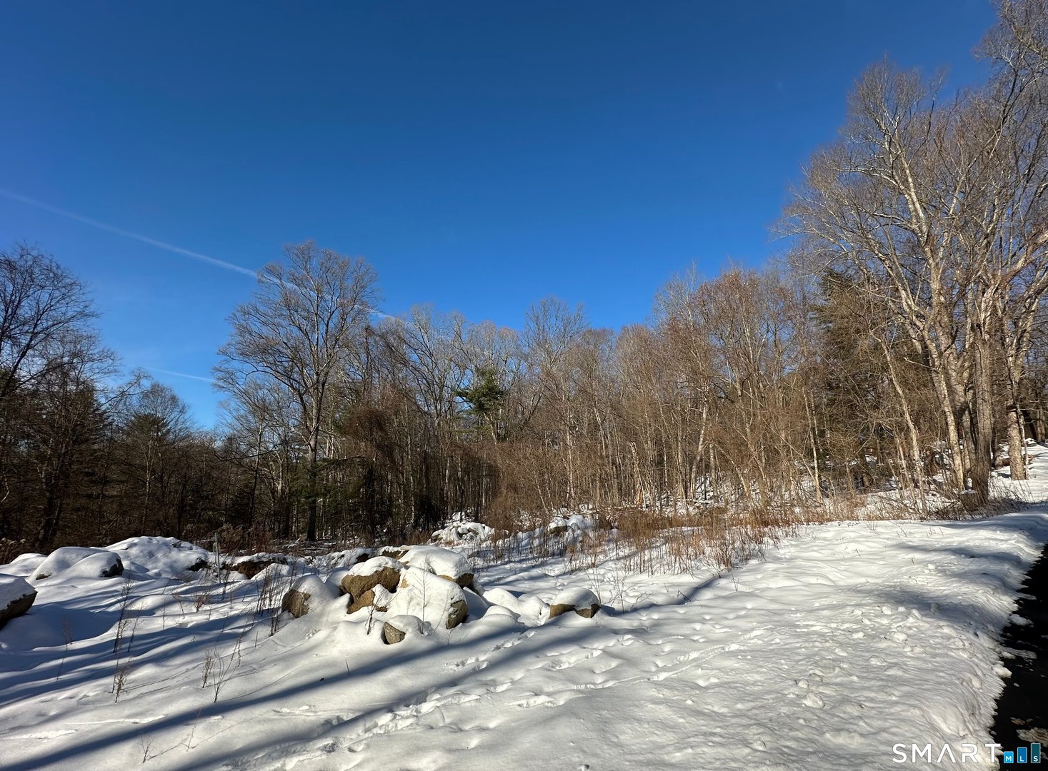 13 Meadow Street Photo 14