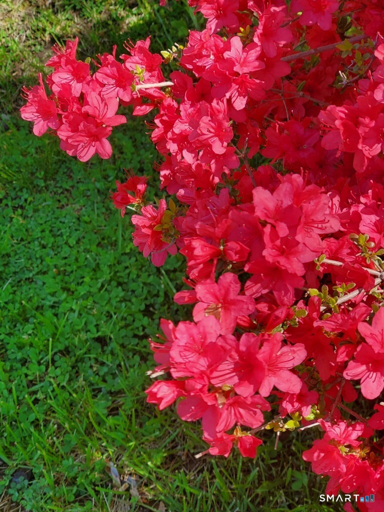 455 Chesterfield Road Photo 23