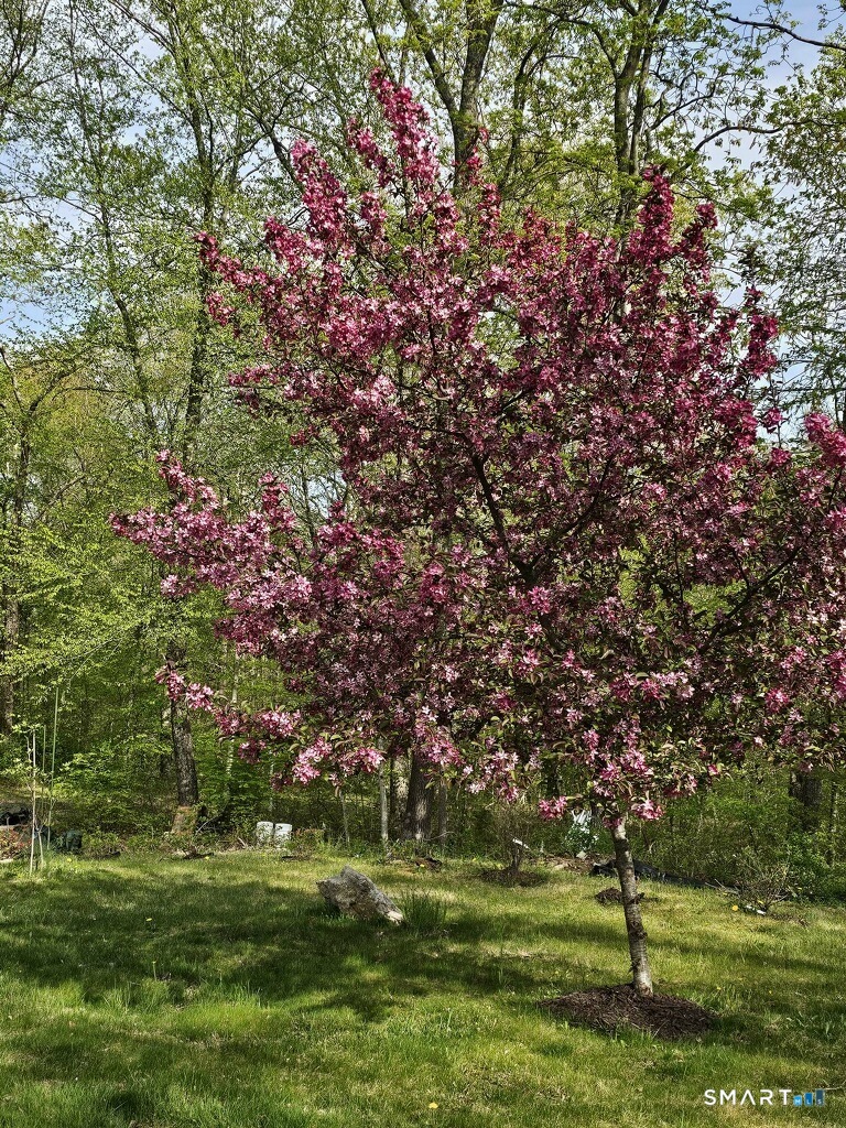 455 Chesterfield Road Photo 26