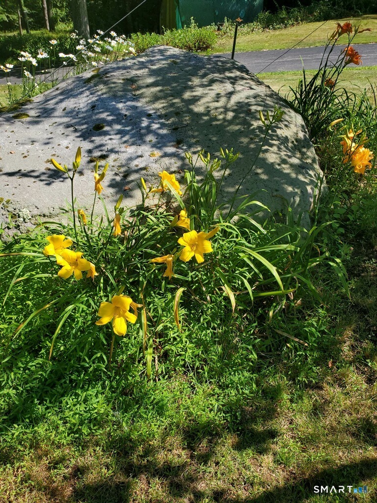 455 Chesterfield Road Photo 37