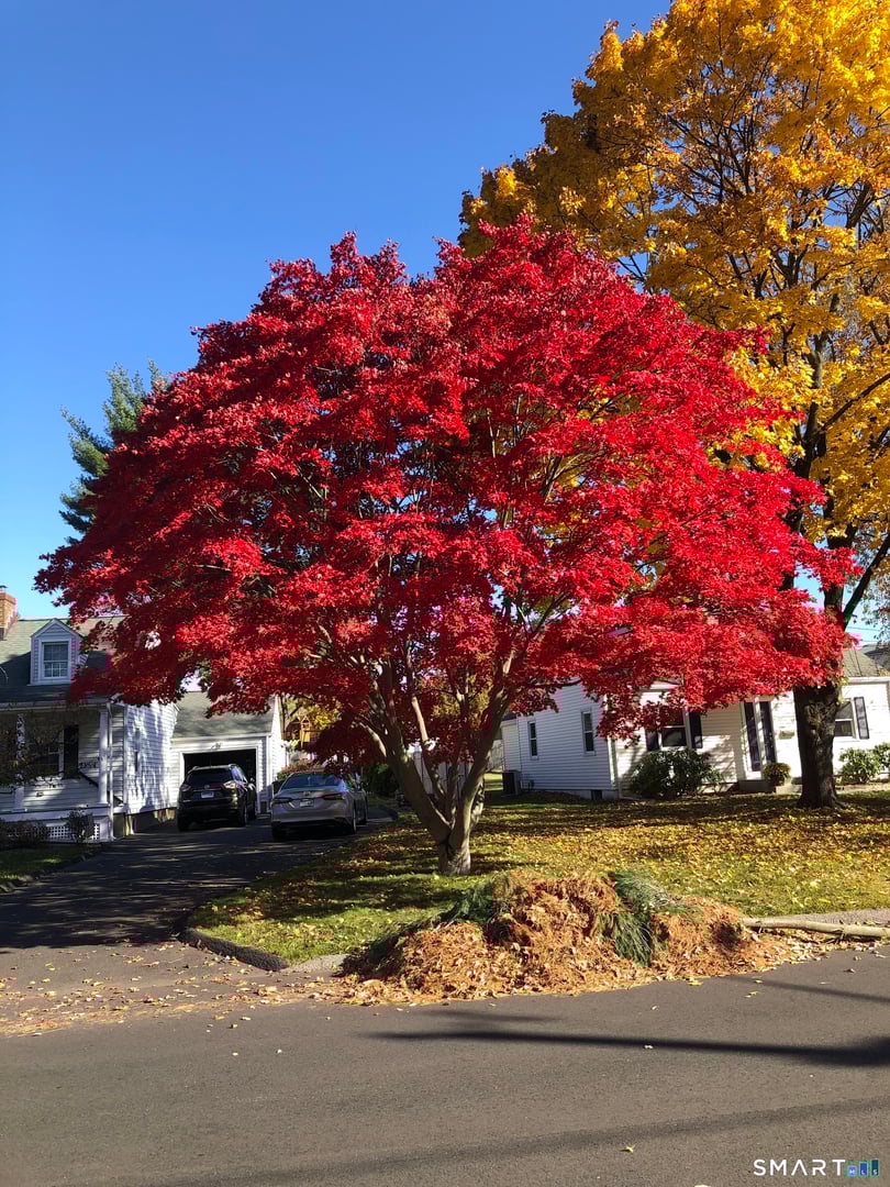 49 Minivale Road Photo 30