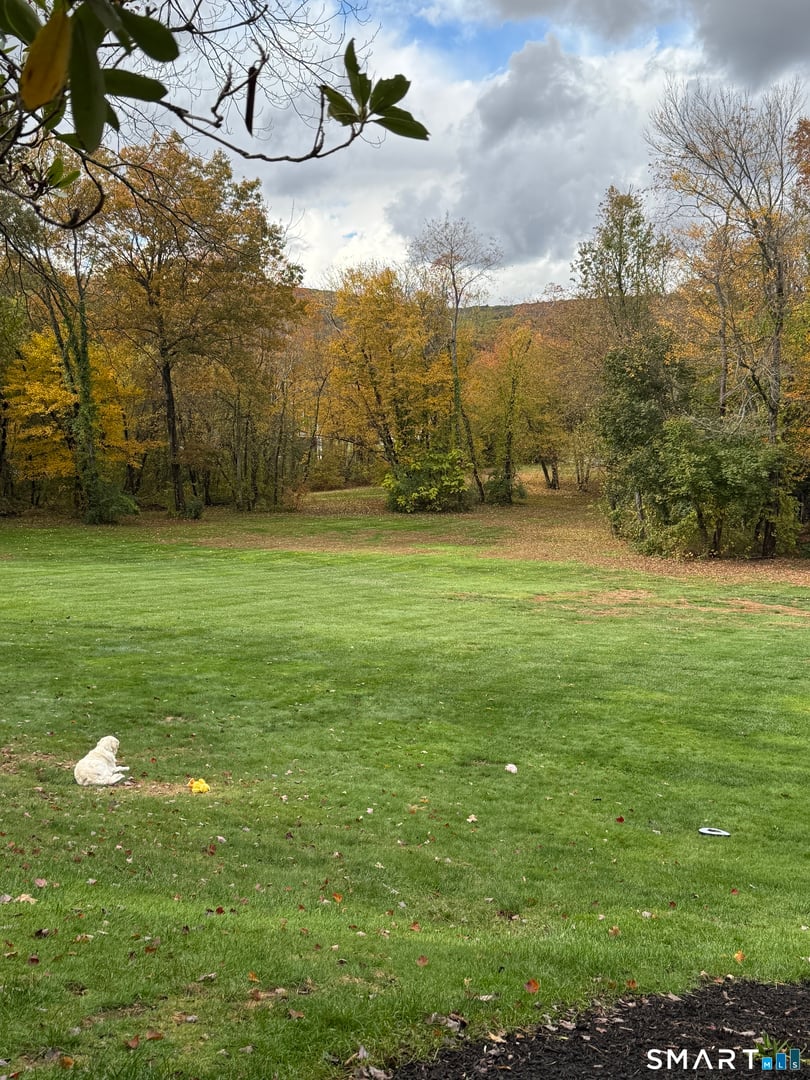 324 Old Farms Road Photo 4