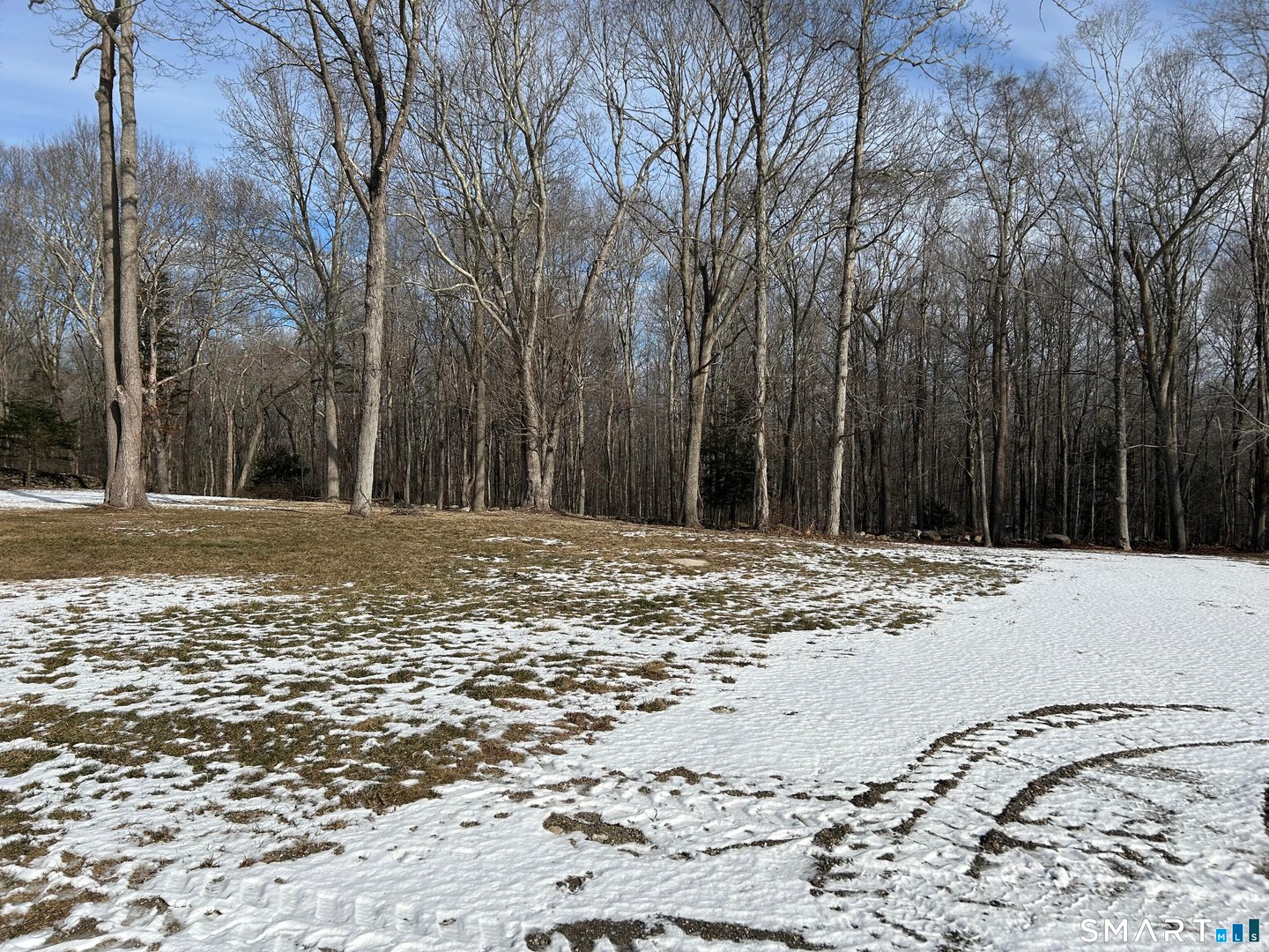 151 Bushy Hill Road Photo 27