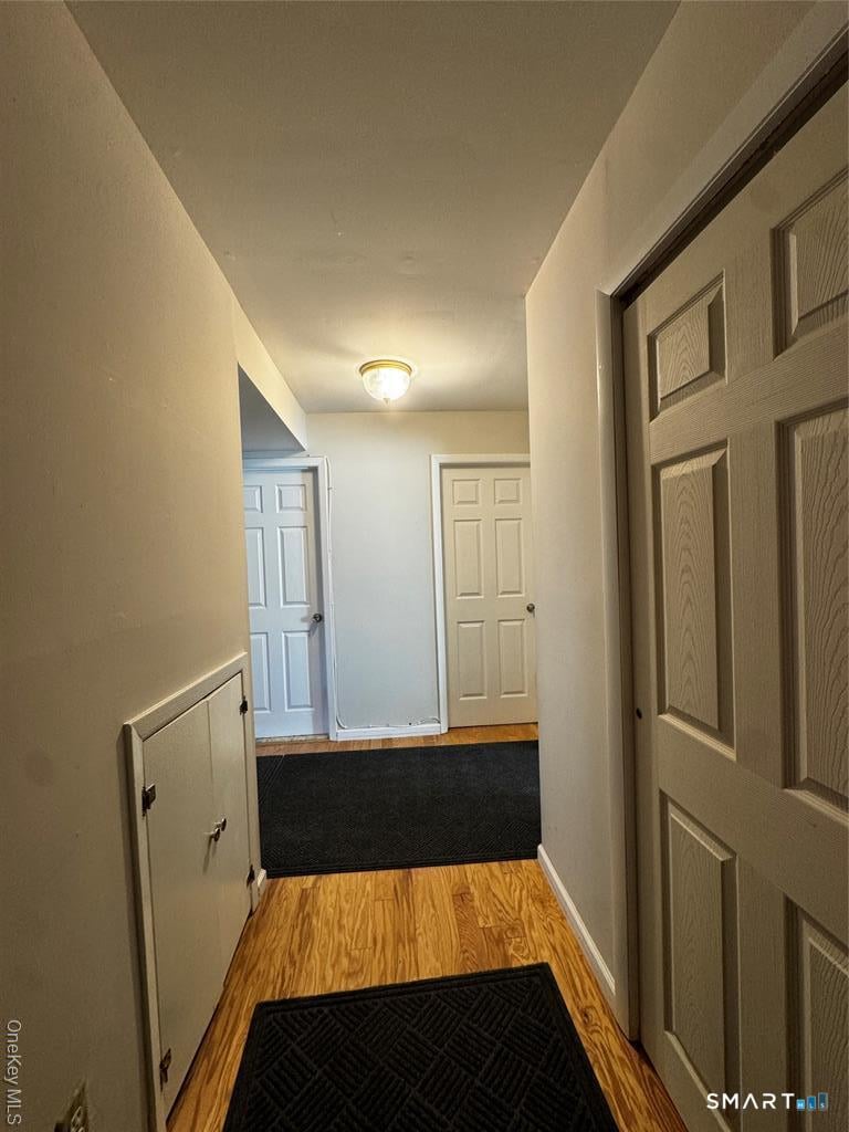 53 Jefferson Oval  #B Photo 4