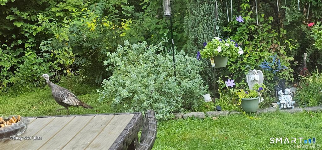 53 Jefferson Oval  #B Photo 17