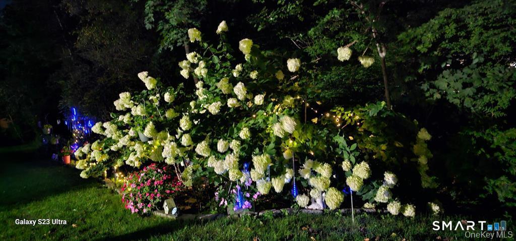 53 Jefferson Oval  #B Photo 18