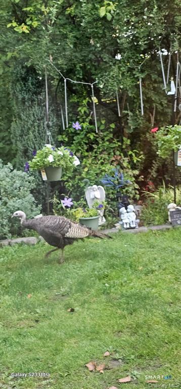 53 Jefferson Oval  #B Photo 20