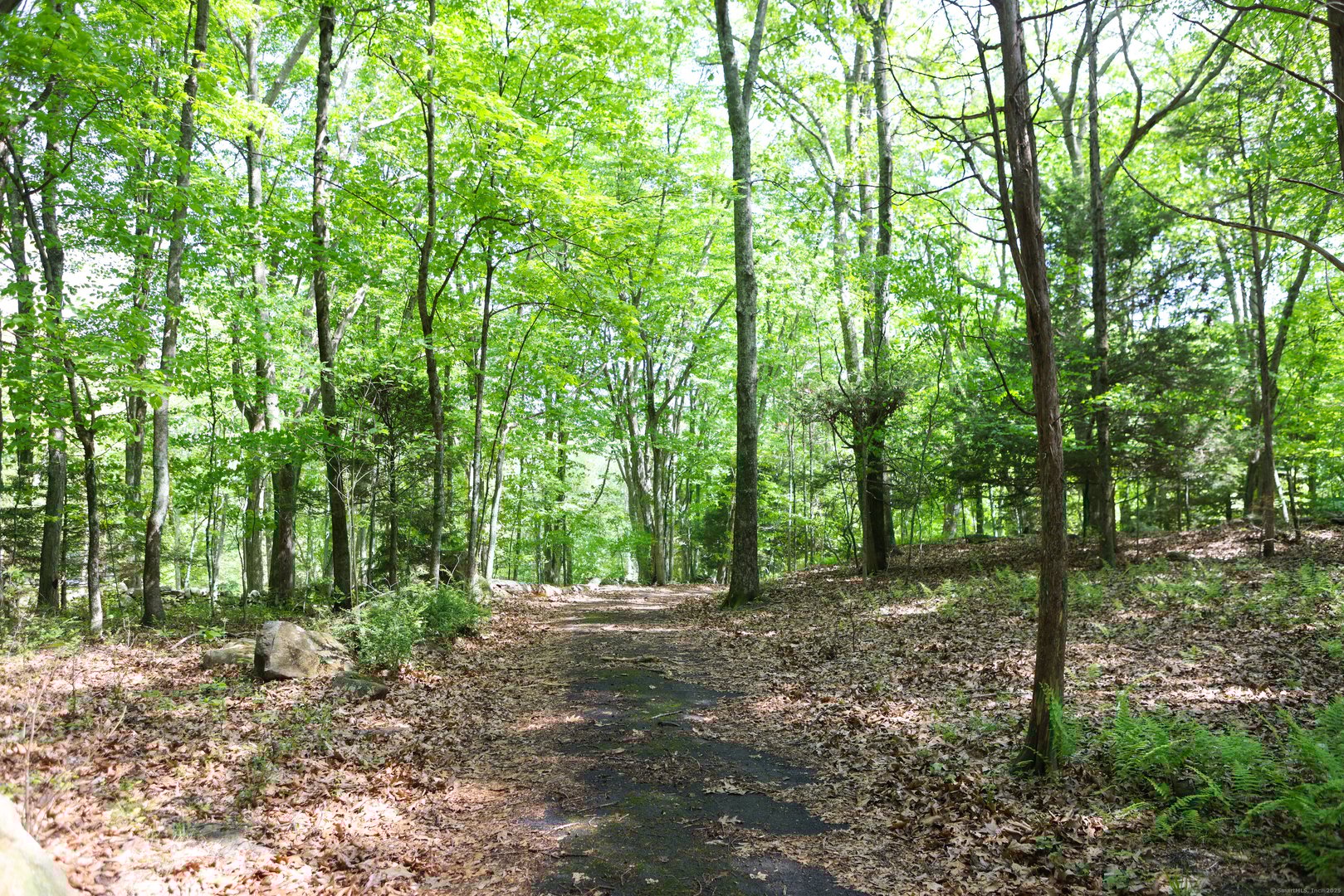 134 Meadow Woods Road Photo 10