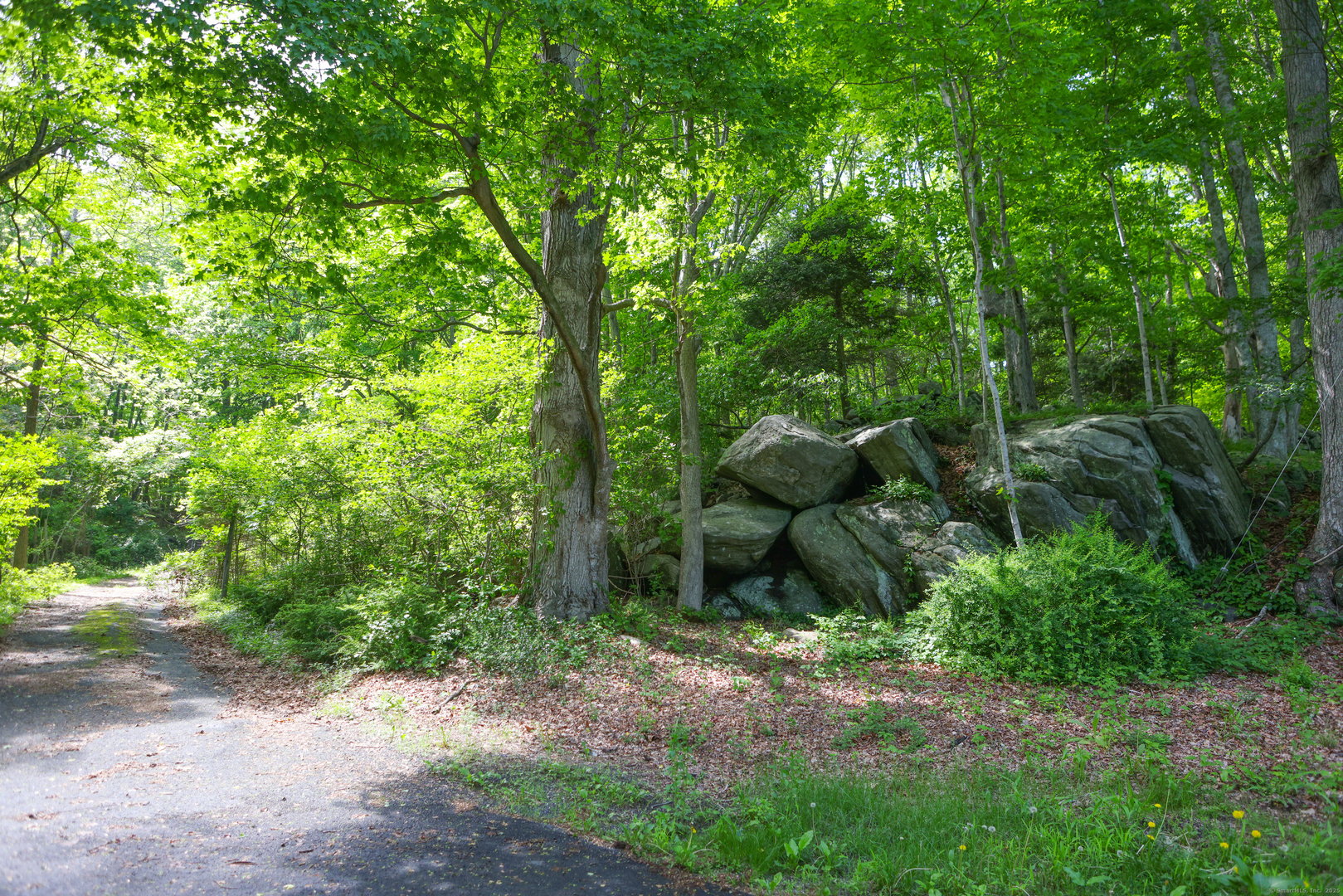 134 Meadow Woods Road Photo 13