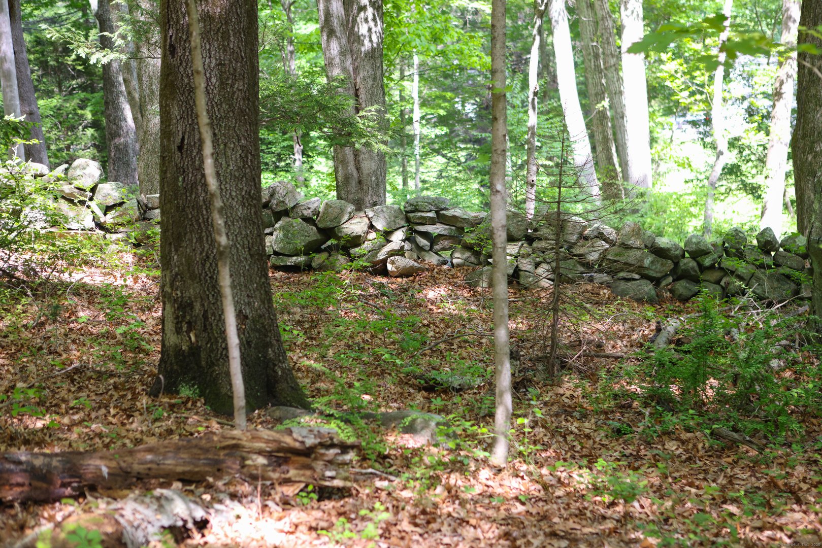 134 Meadow Woods Road Photo 16