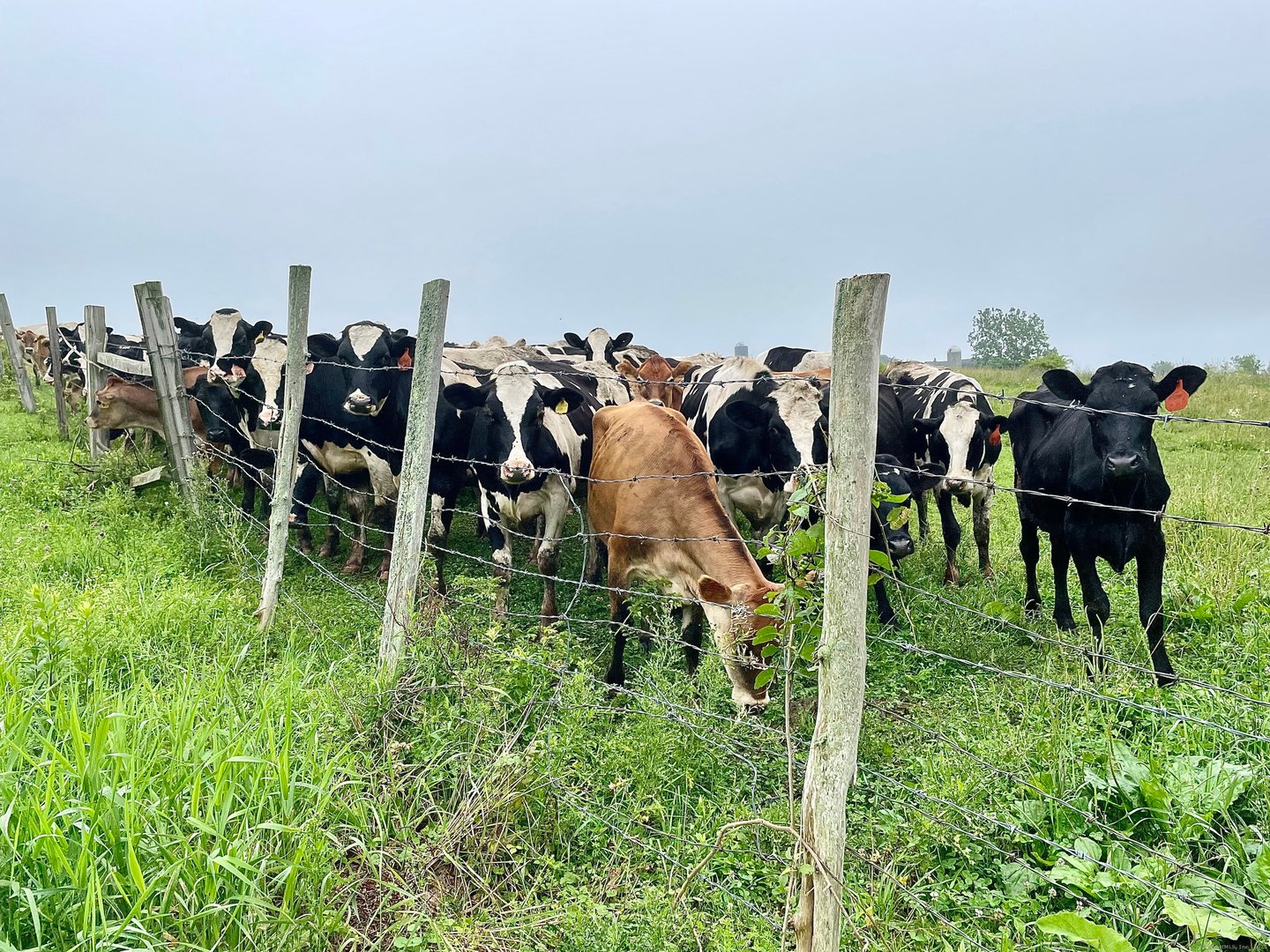 182 Magnolia Hill Road Photo 37