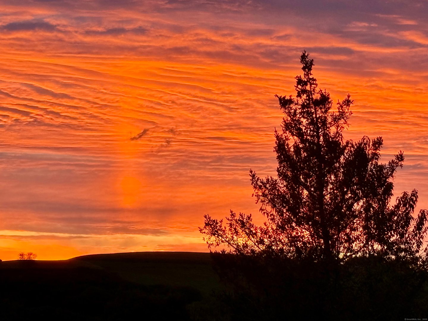 182 Magnolia Hill Road Photo 39