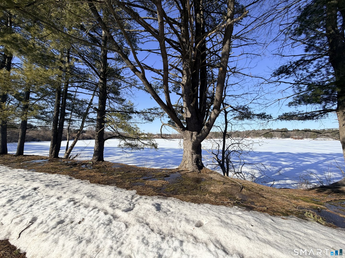 7 Grandview Drive  #31A Photo 35