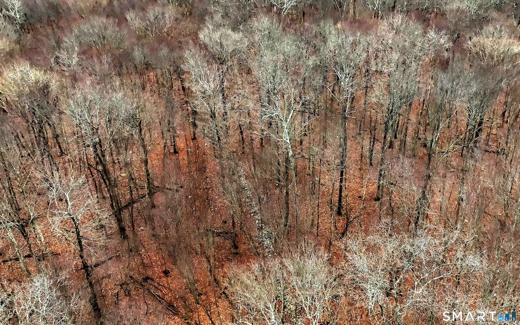 275 Hammertown Road Photo 5