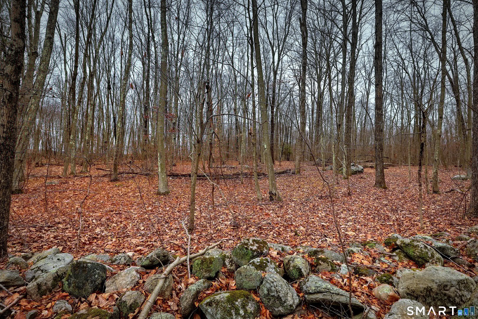 275 Hammertown Road Photo 12