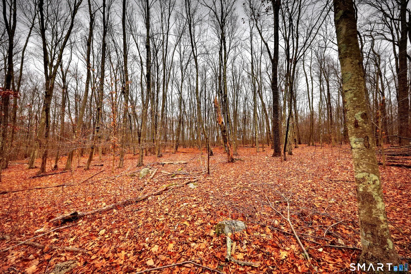 275 Hammertown Road Photo 13