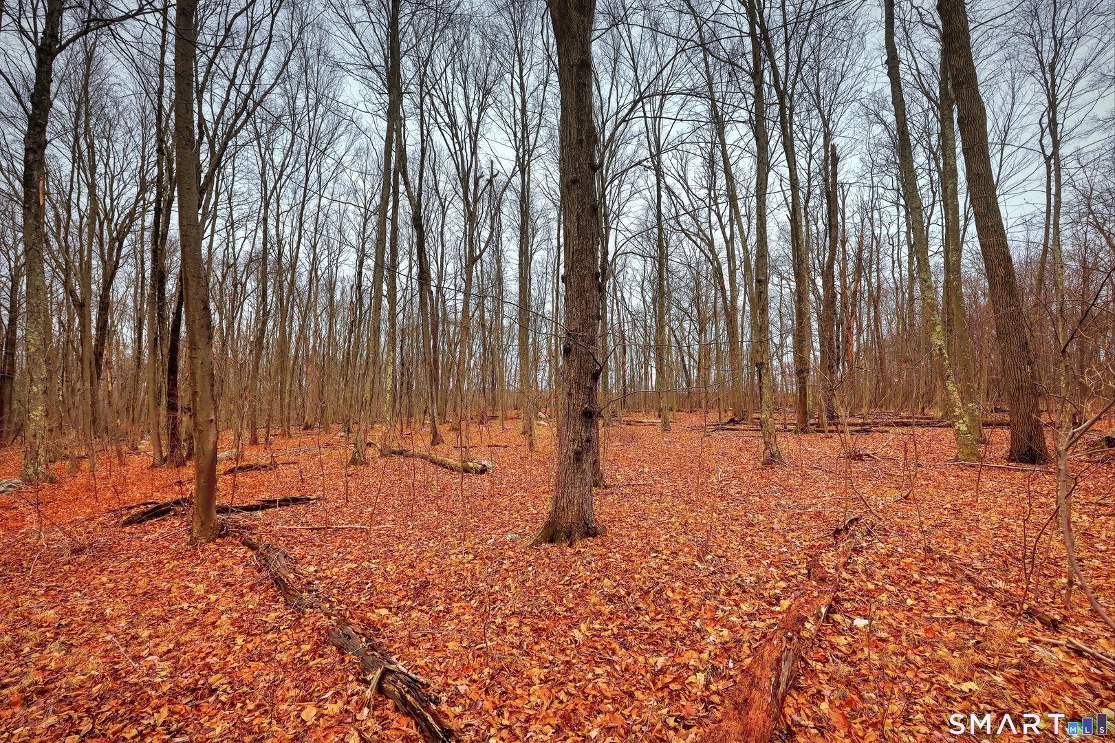 275 Hammertown Road Photo 15