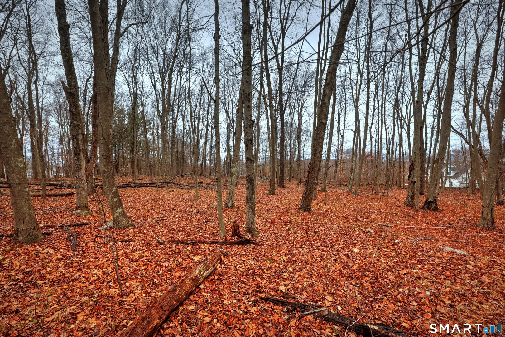 275 Hammertown Road Photo 16