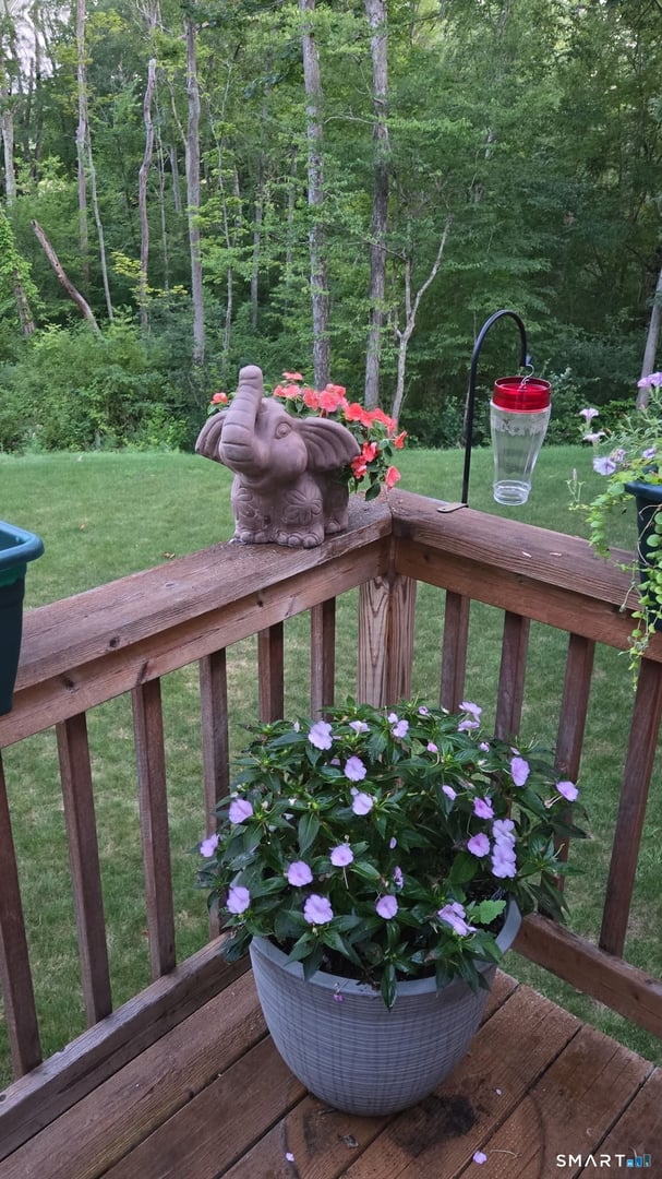 167 Round Hill Road Photo 7