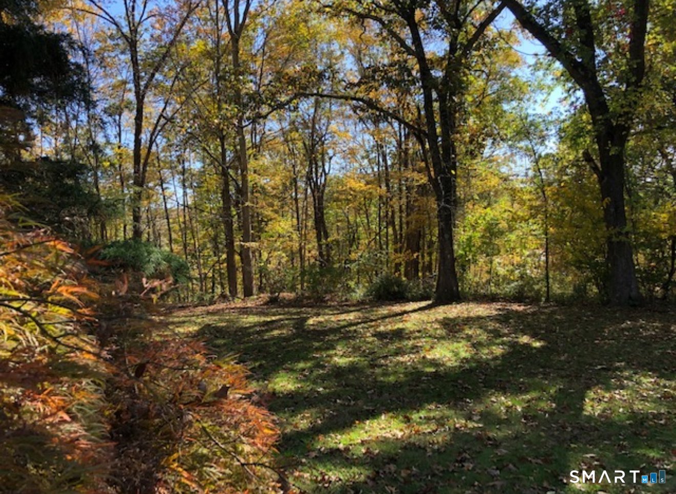 525 Munger Lane Photo 23