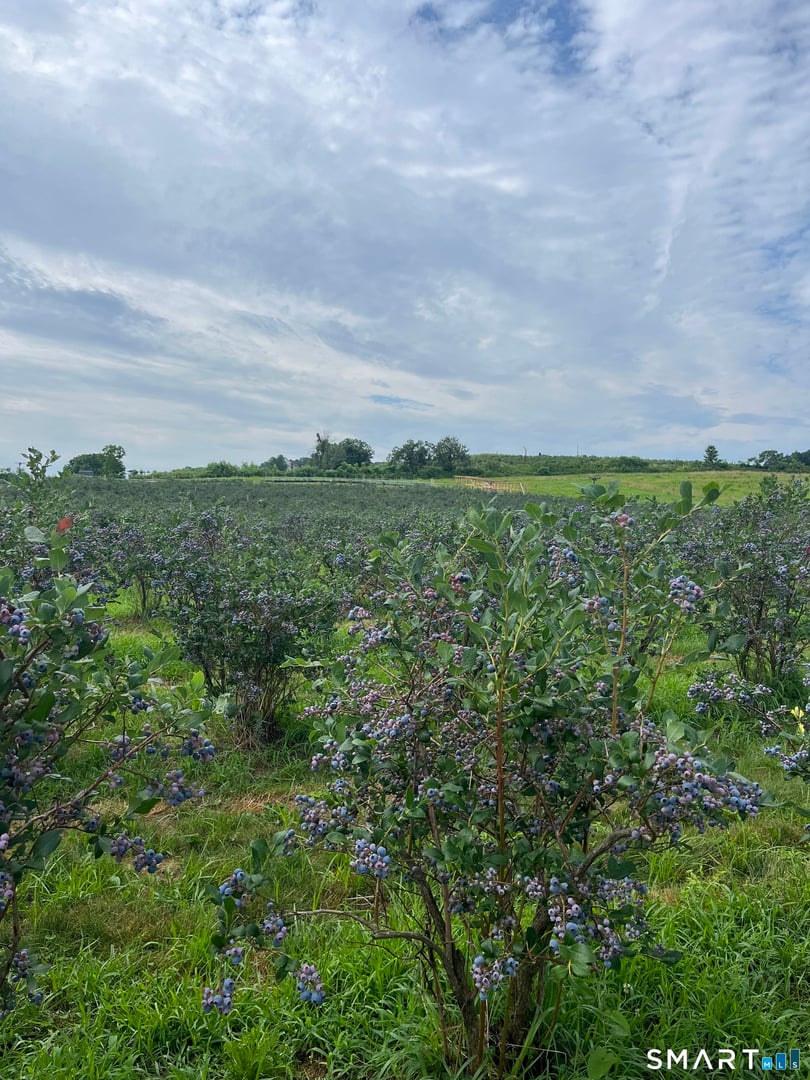 280-300 Matson Hill Road Photo 12