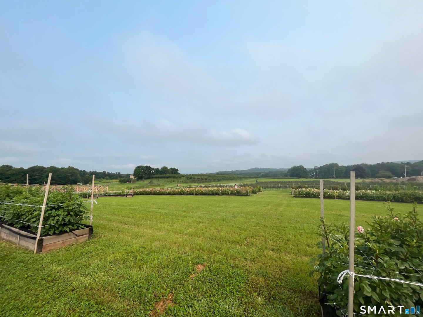 280-300 Matson Hill Road Photo 13