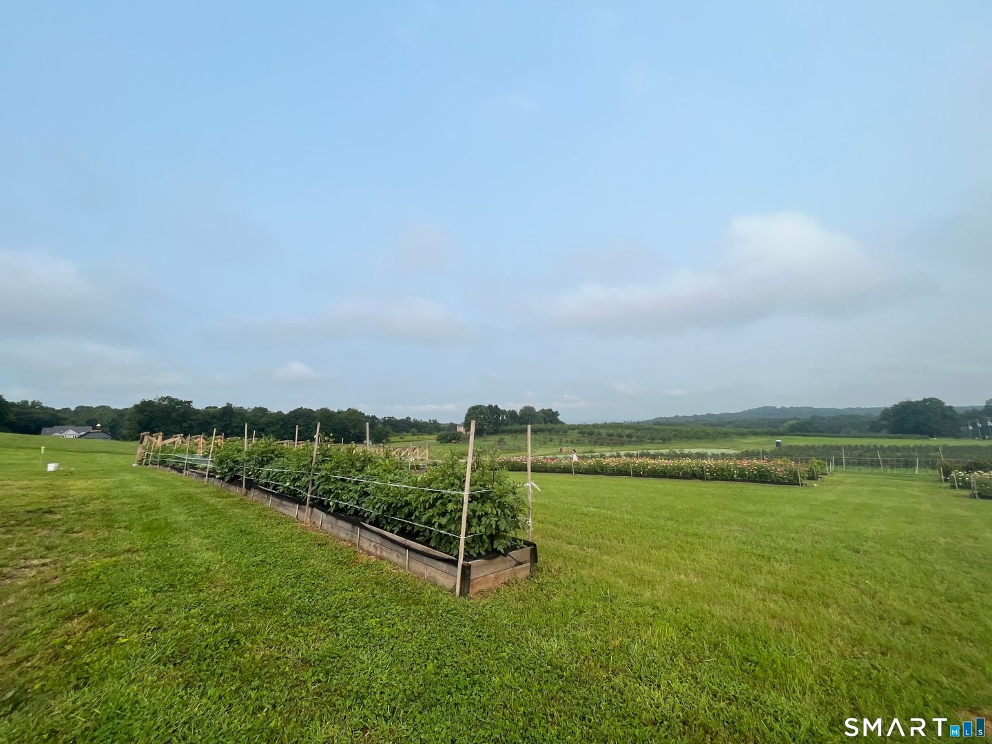 280-300 Matson Hill Road Photo 14