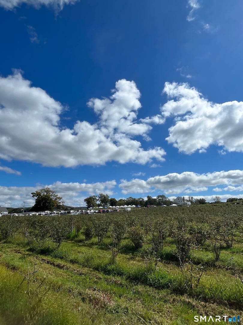 280-300 Matson Hill Road Photo 19