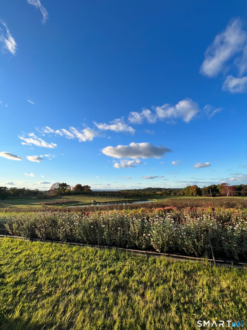 280-300 Matson Hill Road Photo 23