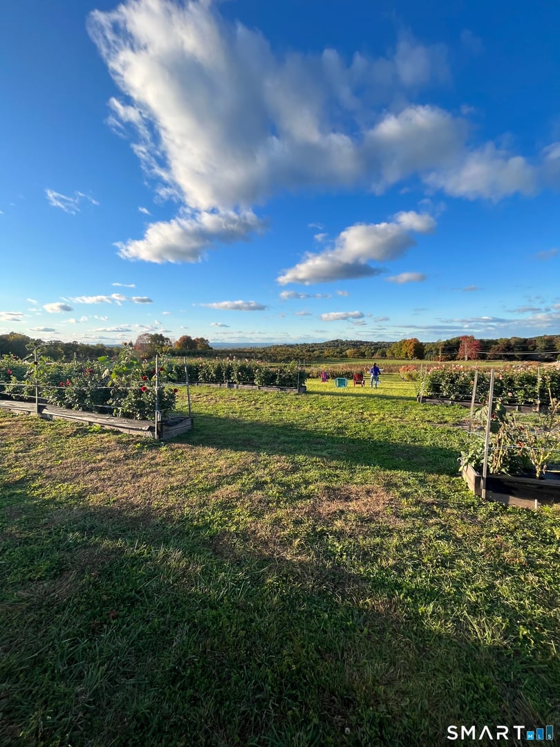 280-300 Matson Hill Road Photo 25