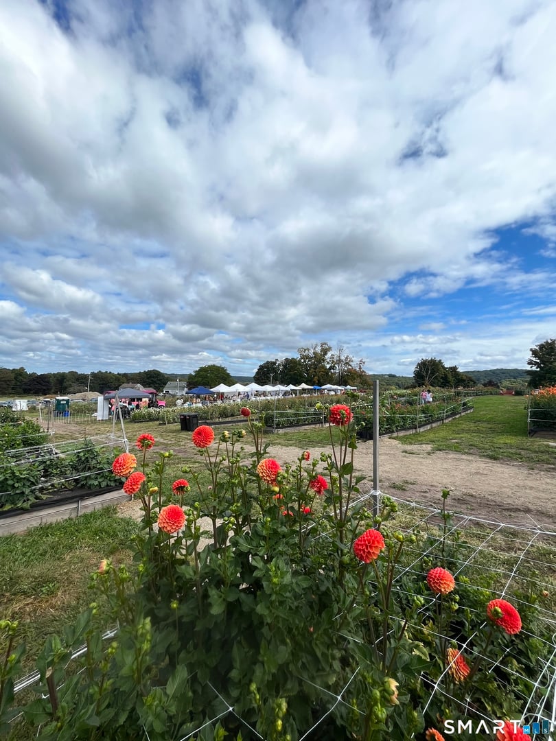 280-300 Matson Hill Road Photo 26