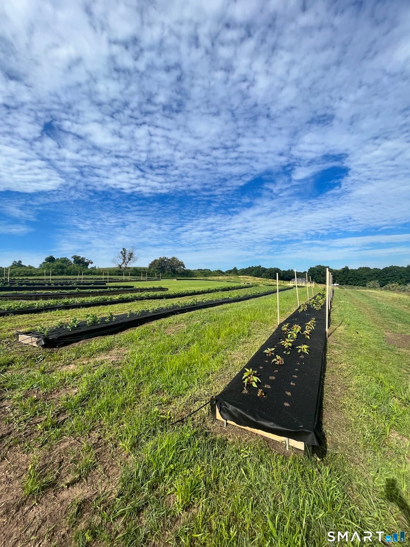 280-300 Matson Hill Road Photo 28