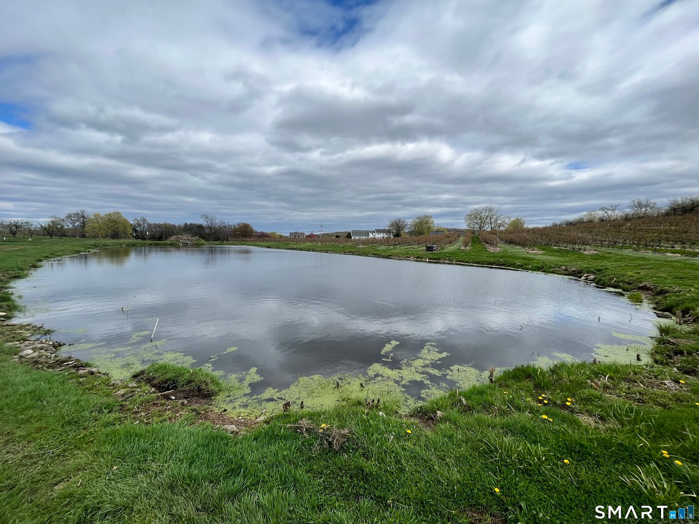 280-300 Matson Hill Road Photo 35