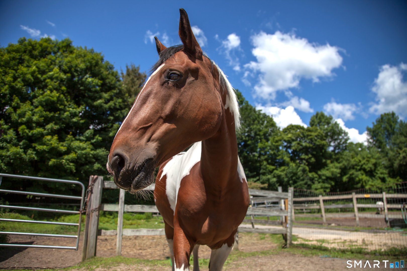 473 Evergreen Road Photo 35