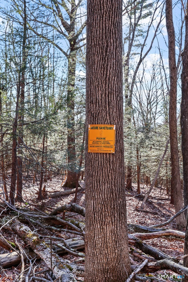 73 High Valley Drive Photo 7